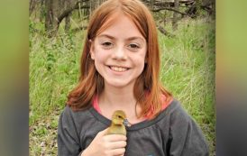 Θρήνος για τη 10χρονη Λίλυ: Σπάνια μορφή αμοιβάδας της έφαγε τον εγκέφαλο