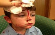 Μεσσηνία: 12χρονος εντοπίστηκε μέσα στα αίματα