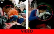 VIDEO ΣΟΚ: Εργαζόμενοι ξεριζώνουν τα ράμφη νεκρών ζώων με τα δόντια τους