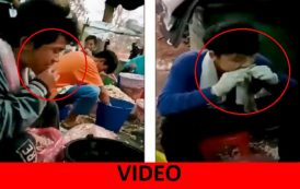 VIDEO ΣΟΚ: Εργαζόμενοι ξεριζώνουν τα ράμφη νεκρών ζώων με τα δόντια τους