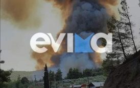 Εύβοια: Μεγάλη φωτιά ΤΩΡΑ στη Δάφνη του Δήμου Μαντουδίου Λίμνης Αγίας Άννας – Εκκενώνονται δύο χωριά